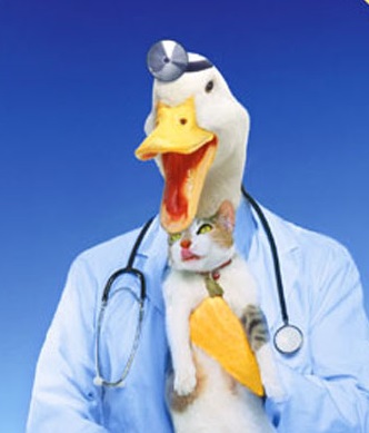 quack-doctor-788714