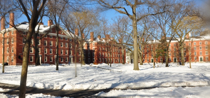 Harvard_yard_winter_2009j